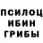 Галлюциногенные грибы Psilocybine cubensis Zhakoo me