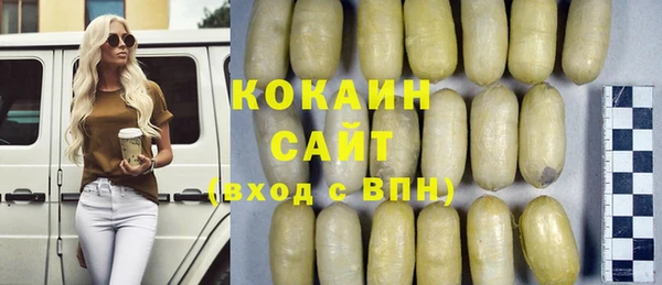 молекула духа Алексин
